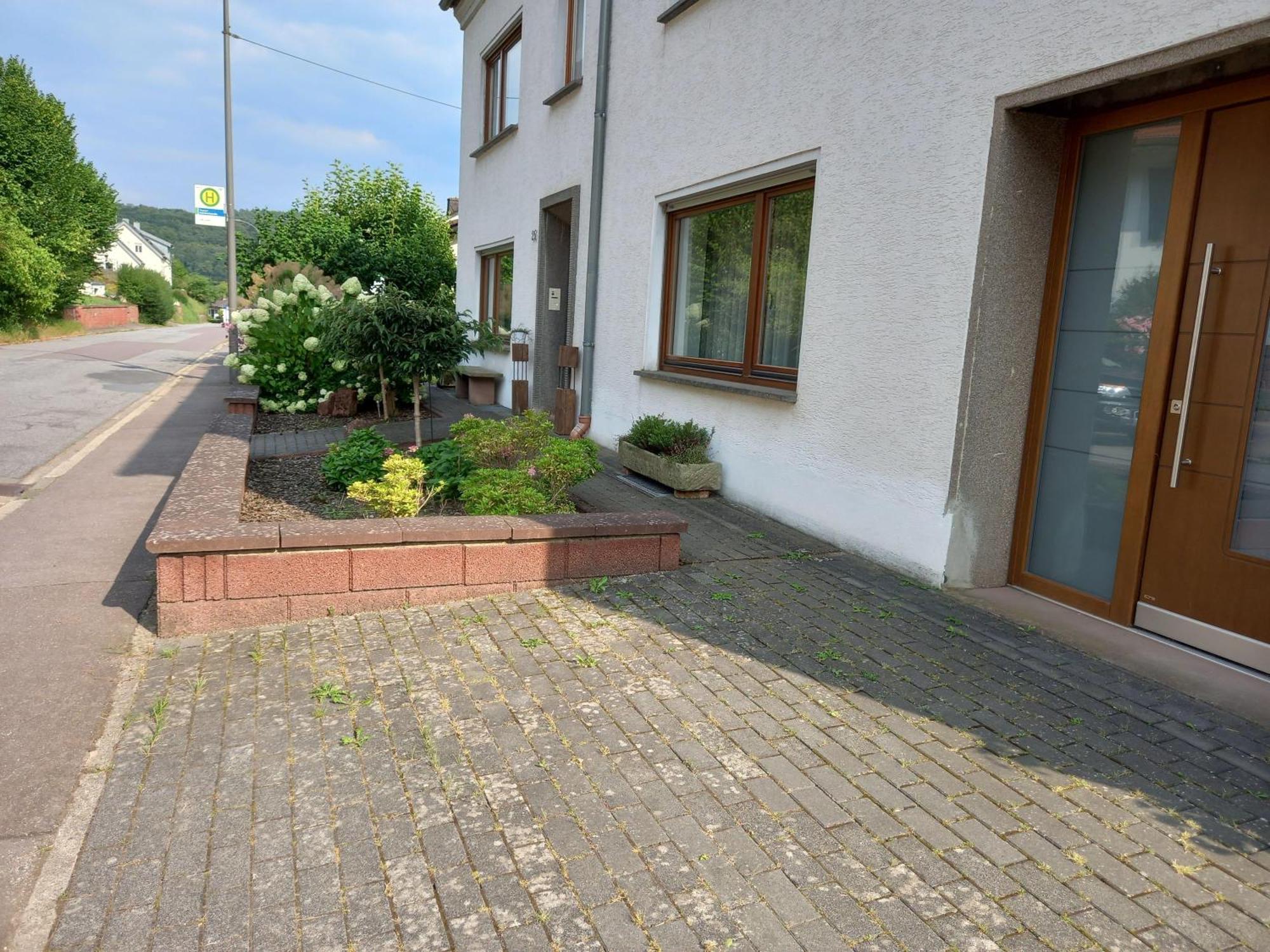 Ferienwohnung Waldblick Trassem Экстерьер фото